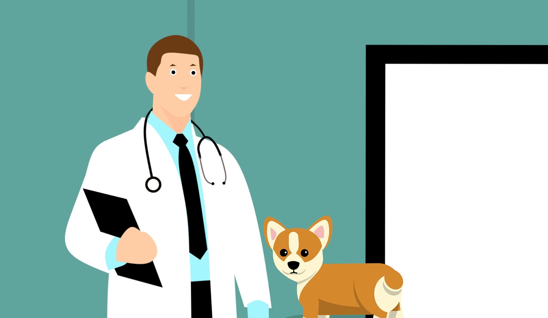 Veterinary Dental Course - vet with corgi