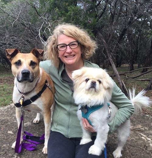 dog dentist fort collins Loveland - dog friendly loveland co