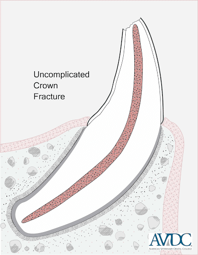 figure 1 uncomplicated-1.png