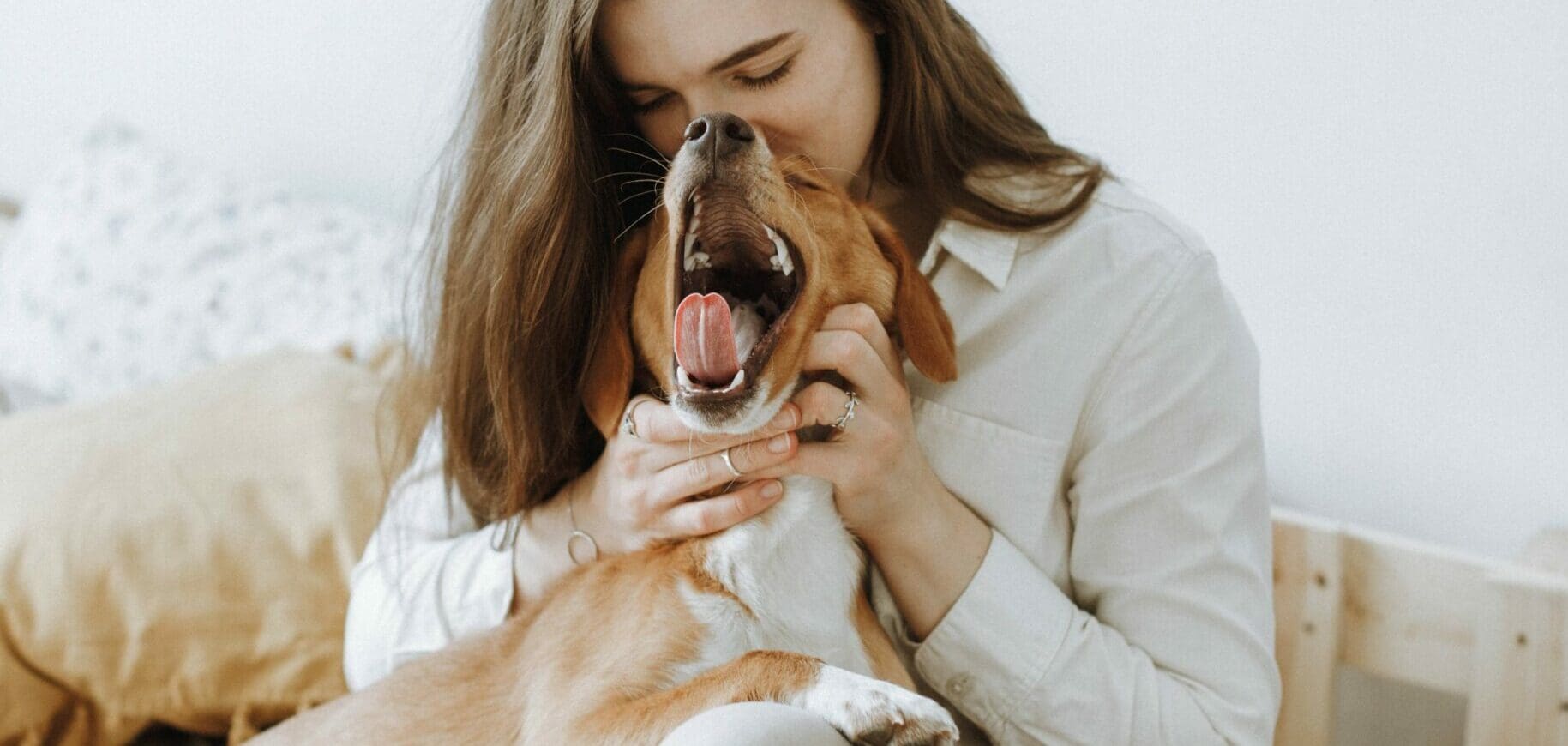 &nbsp;