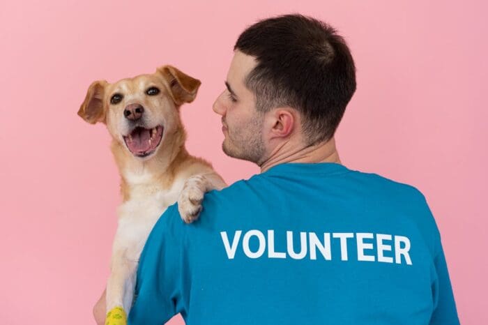 man in blue shirt with volunteer written on back, holding dog in lap