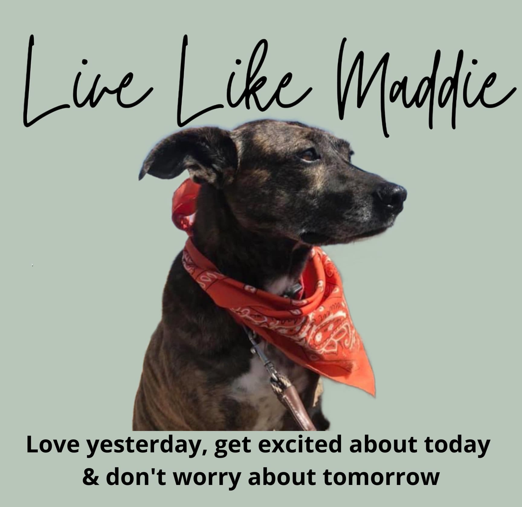 live-like-maddie-flyer