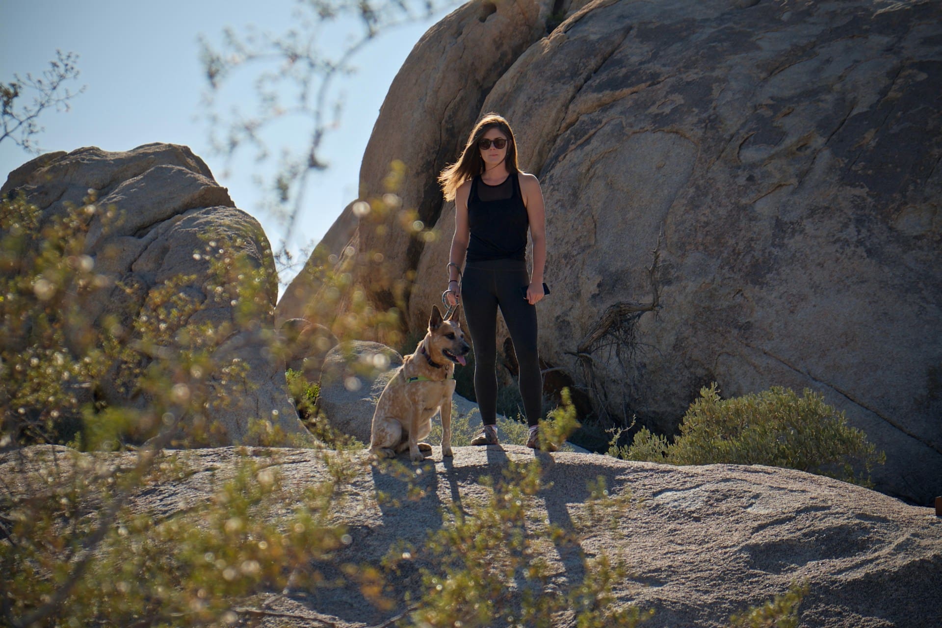 person hiking with their dog in Castle Rock