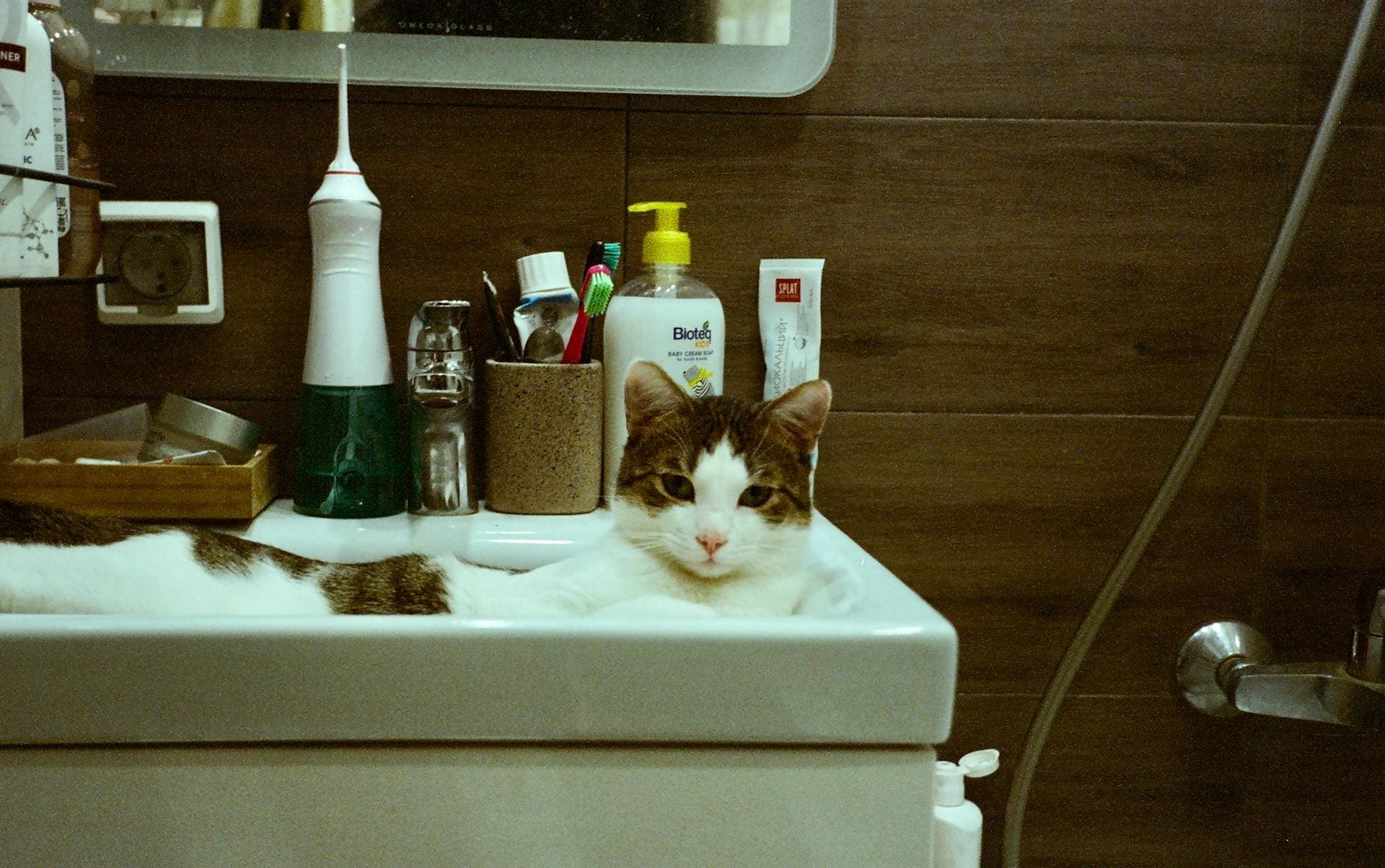 A cat is laying in a bathroom sink.